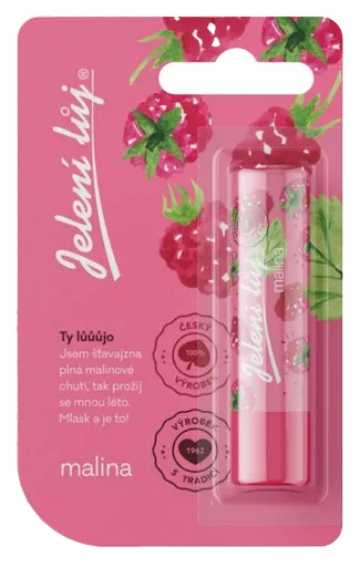 REGINA - Balzam na pery s vôňou malín 4,5 g