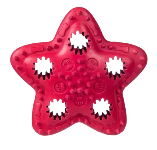 Barry King hviezda na pamlsok 12,5 cm