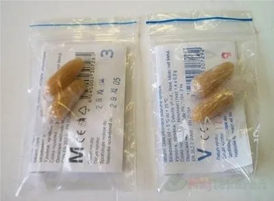 Chránič sluchu Plastifon malý