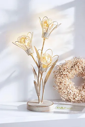 Weltbild LED světelná dekorace Květiny