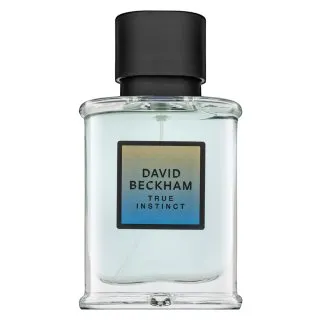 David Beckham True Instinct parfémovaná voda pre mužov 50 ml