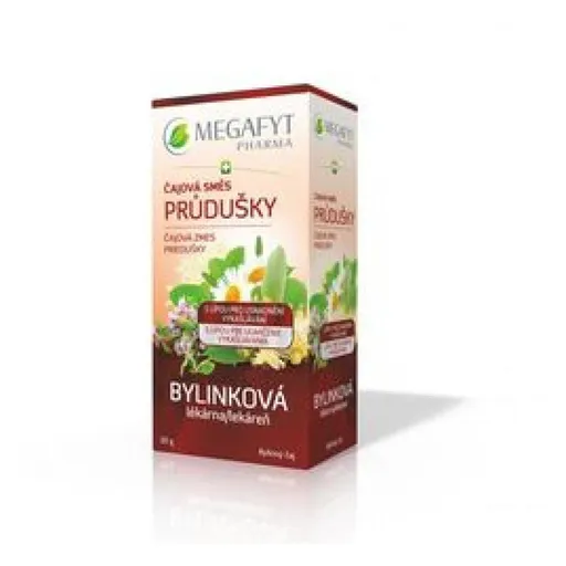 MEGAFYT Čajová zmes priedušky 20 x 1,5 g