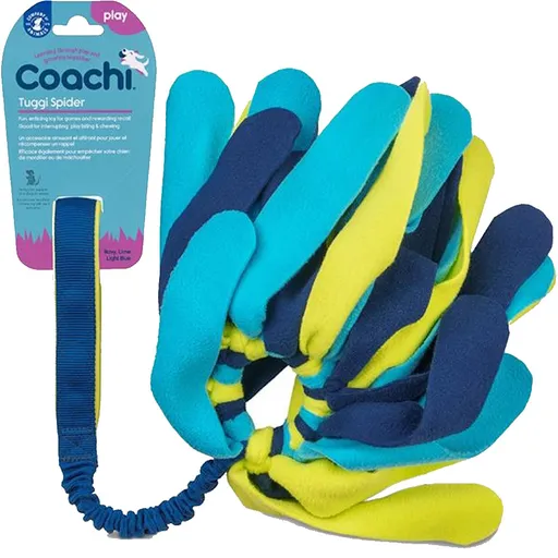 COACHI Spider Tuggi hračka pre psov strapec modrozelený 1 ks