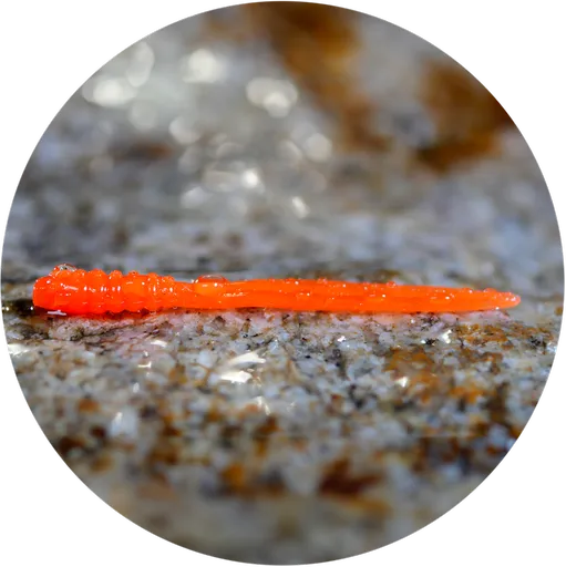 Redbass gumová nástraha micro tail signal orange uv color - xs 35 mm