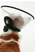 Ochranný obojok BUSTER plastový Kompletný obojok 20cm