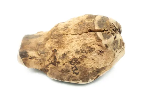 Explorer Dog žuvacie kořen vřesu XL