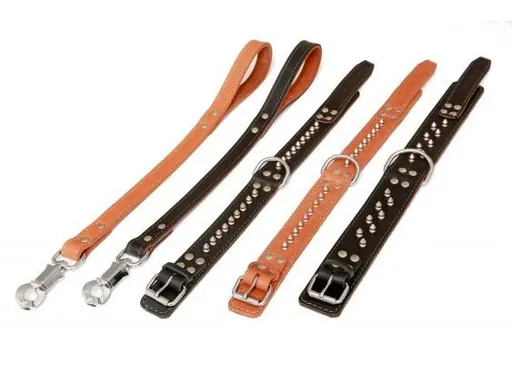 HP product for Happy Pets HP obojok MOLOSS ostne  1R 50cm konak