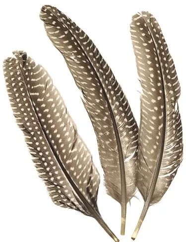 KNORR - Dekoratívne bažantie pierka 15-20 cm