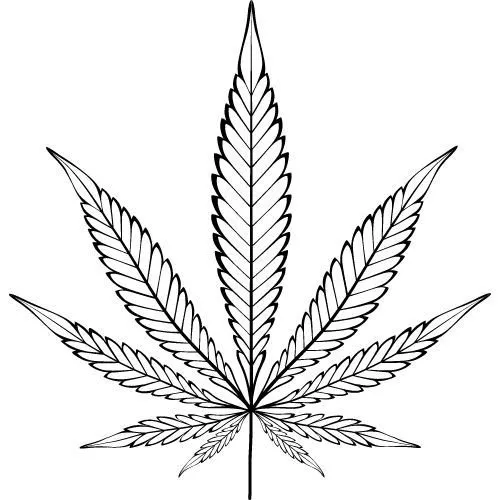 Konopný olej 100% Bio Alteya 50 ml