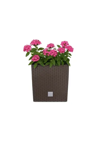 ProsperPlast Kvetináč RATO LOW s vkladom | umbra 40 cm