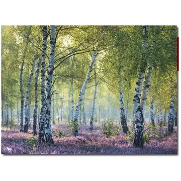 Ravensburger 167531 Brezový les 1000 dielikov (4005556167531)