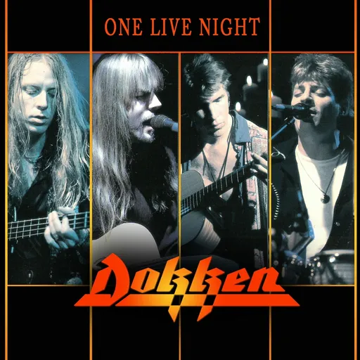ONE LIVE NIGHT