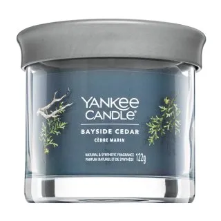 Yankee Candle Tumbler Bayside Cedar 122 g