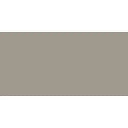 Dlažba Rako Taurus Color sivá 30x60 cm mat TAKSE006.1