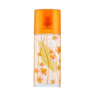 Elizabeth Arden Green Tea Nectarine Blossom toaletná voda pre ženy 100 ml