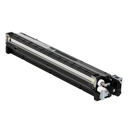 RICOH D1773020 - originálny