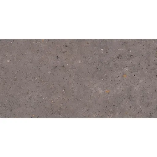 Dlažba Pastorelli Biophilic dark grey 60x120 cm mat P009416