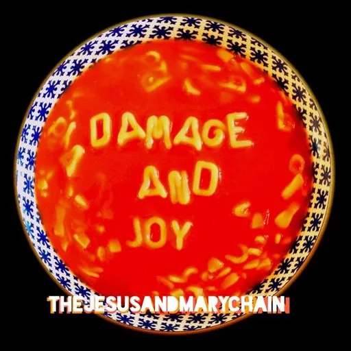 The Jesus and Mary Chain, DAMAGE AND JOY, CD