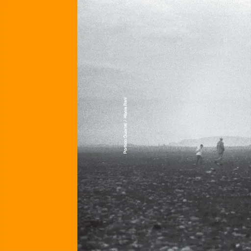 PORTICO QUARTET AND HANIA RANI