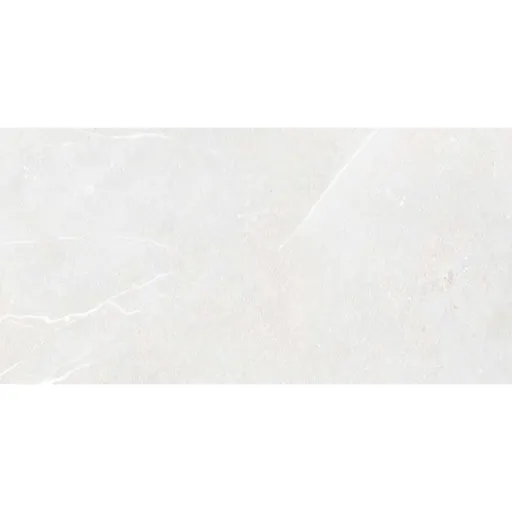 Dlažba Rako Fly mist 30x60 cm mat DAKSR882.1