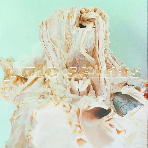 In Ribbons - Pale Saints LP