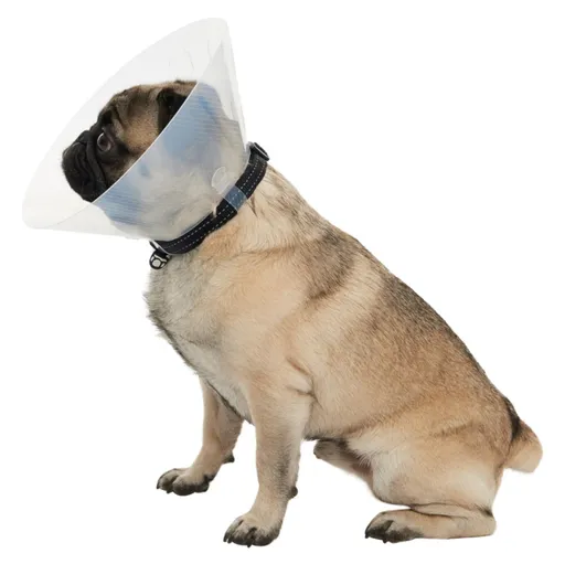 BUSTER E-Collar Brachy plastový ochranný golier 1 ks, Veľkosť: XS