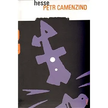 Petr Camenzind (9788025707098)