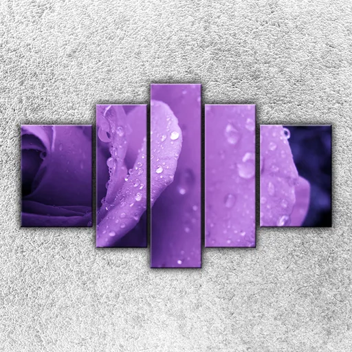 Foto na plátno Fialová ruža 125x90 cm