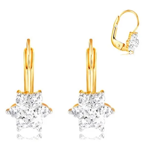 Zlaté náušnice 585 - trblietavý kvet z okrúhlych čírych zirkónov