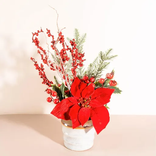 Die moderne Hausfrau Květinové aranžmá s vánoční hvězdou