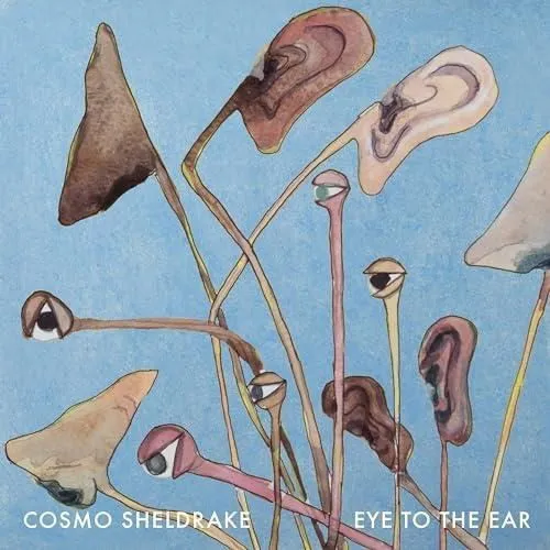 COSMO SHELDRAKE - EYE TO THE EAR LP