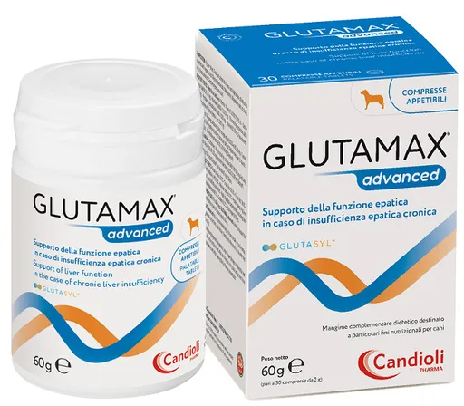 GlutaMax ADVANCED na ochranu pečene pre psy 12x10tbl