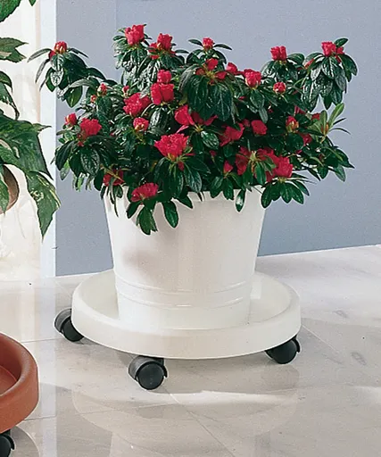 RUCO Miska pod květináč s kolečky, bílá