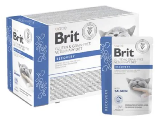 Brit VD Gluten & Grain-Free Cat Pouch Fillets in Gravy Recovery kapsičky pre mačky 12x85g