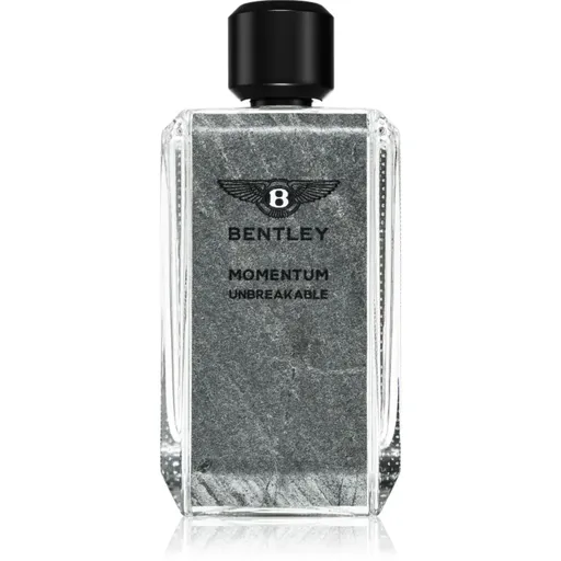 Bentley Momentum Unbreakable parfumovaná voda pre mužov 100 ml