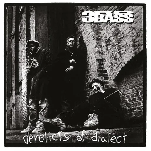3rd Bass, Third Bass: Derelicts Of Dialect CD, CD