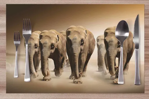 Prestieranie Stádo slonov