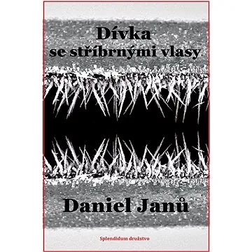 Dívka se stříbrnými vlasy (999-00-033-1811-4)