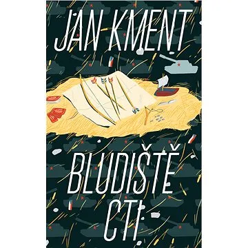 Bludiště cti (978-80-725-2738-0)