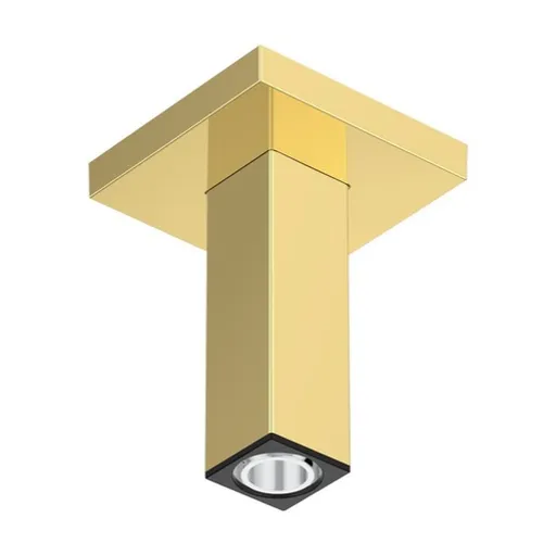 Sprchové rameno Hansgrohe leštený vzhľad zlata 24338990