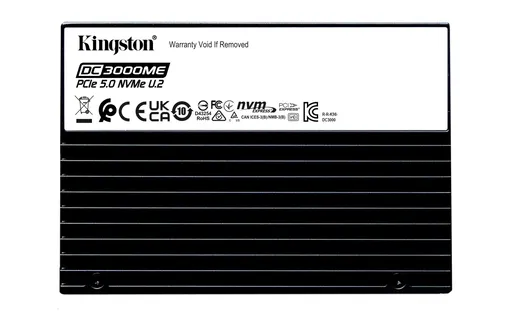 Kingston DC3000ME/3,84TB/SSD/2.5"/U.2/5R