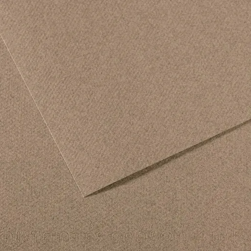 CANSON MI-TEINTES - Buničinou farbený papier 431 - gris chiné, 50 ks
