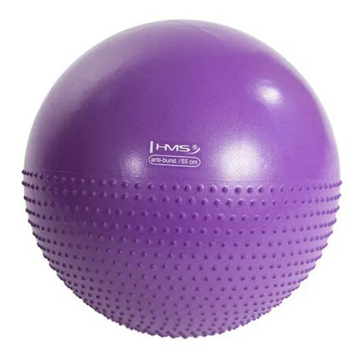 HMS YB03 Masážna gymnastická lopta 55 cm fialová