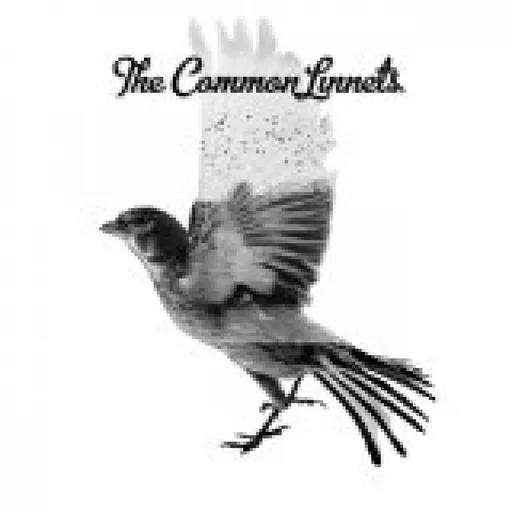The Common Linnets, THE COMMON LINNETS, CD