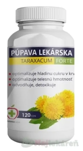 Taraxacum púpava lekárska 120 tabliet