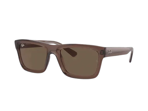 Ray-Ban Warren RB4396 667873
