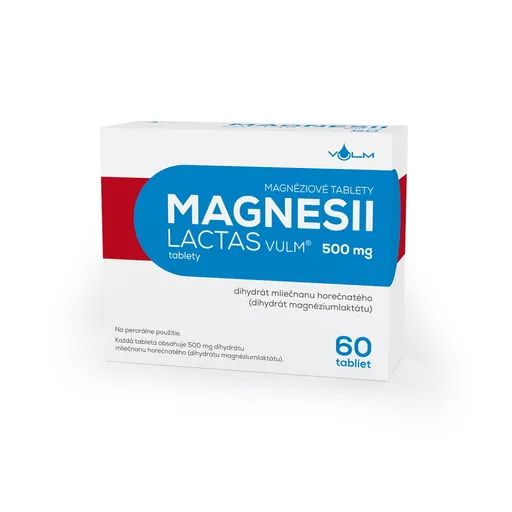 MAGNESII LACTAS 500 mg tablety 60 kusov