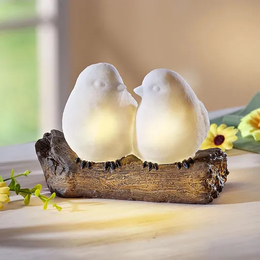 Weltbild LED Dekorace Ptáčci