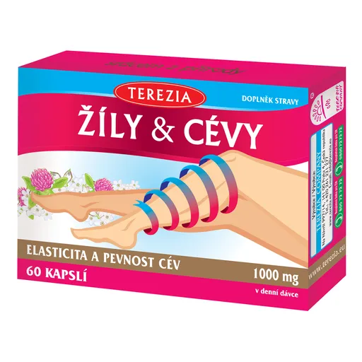 TEREZIA ŽILY & CIEVY 60cps
