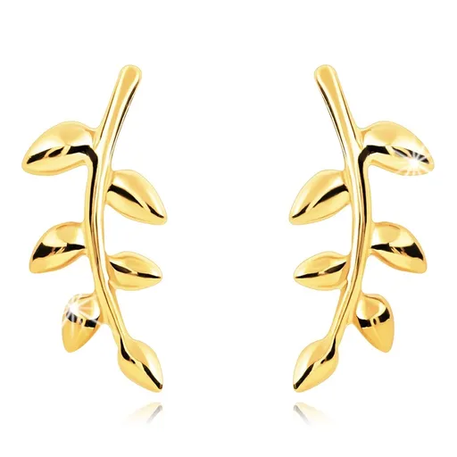 Náušnice v žltom 14K zlate - lesklá zahnutá vetvička s malými lístkami
